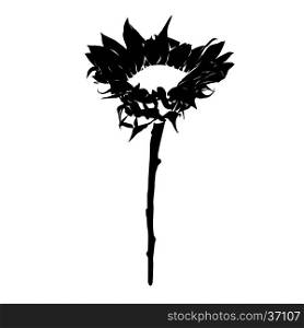 Sunflower stencil silhouette isolated on white