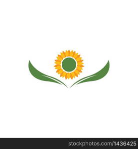 Sunflower vector design illustration template