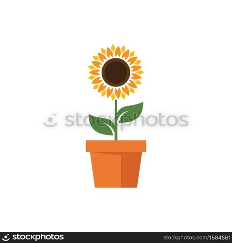 Sunflower vector design illustration template