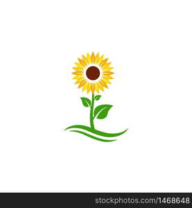 sunflower vector icon design template illustration