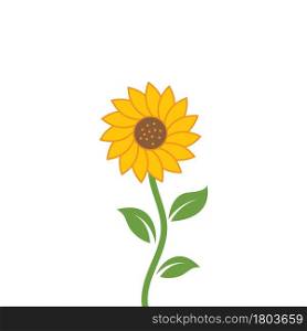 sunflower vector illustration concept design web