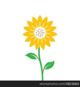 sunflower vector illustration concept design web