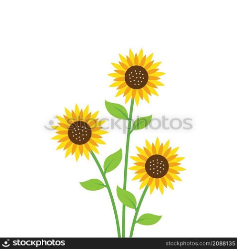 sunflower vector illustration element design template