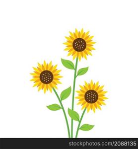 sunflower vector illustration element design template