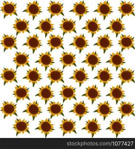 Sunflower wallpaper, illustration, vector on white background.