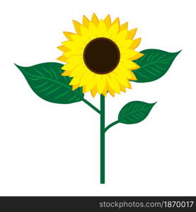 Sunflower with stem icon. Agriculture background. Nature concept. Hand drawn picture. Vector illustration. Stock image. EPS 10.. Sunflower with stem icon. Agriculture background. Nature concept. Hand drawn picture. Vector illustration. Stock image.