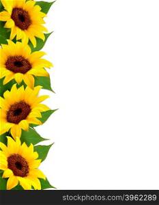 Sunflowers Background With Sunflower And Leaves. Vector