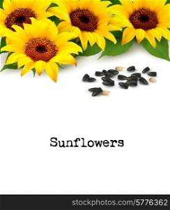 Sunflowers background with sunflower seeds. Vector.
