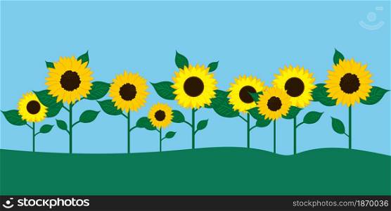 Sunflowers field. Countryside nature. Yellow flower. Blue backdrop. Summer landscape. Vector illustration. Stock image. EPS 10.. Sunflowers field. Countryside nature. Yellow flower. Blue backdrop. Summer landscape. Vector illustration. Stock image.