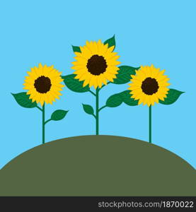 Sunflowers on the hill. Blue background. Countryside nature art. Farm landscape.Vector illustration. Stock image. EPS 10.. Sunflowers on the hill. Blue background. Countryside nature art. Farm landscape.Vector illustration. Stock image.