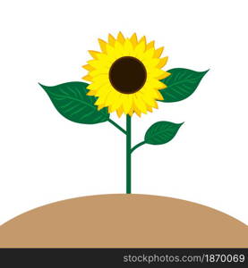 Sunflowers on the hill. Countryside nature. Agriculture background. Farm landscape.Vector illustration. Stock image. EPS 10.. Sunflowers on the hill. Countryside nature. Agriculture background. Farm landscape.Vector illustration. Stock image.