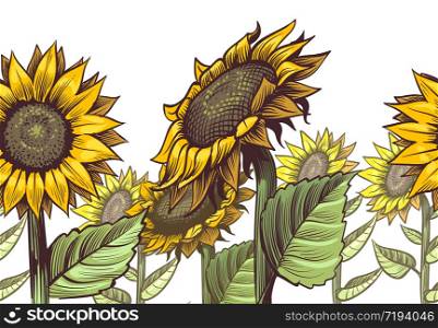 Sunflowers seamless border. Yellow wildflower sun shaped and leaves, floral cute print repeating sunflower decor textile or wallpaper vector texture. Sunflowers seamless border. Yellow wildflower sun shaped and leaves, floral cute print repeating sunflower decor textile vector texture