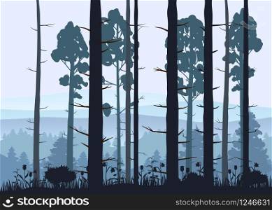 Sunny forest background. Vector illustration of woods in forest in sunlight background.. Sunny forest background. Vector illustration of woods in forest in sunlight background. Isolated