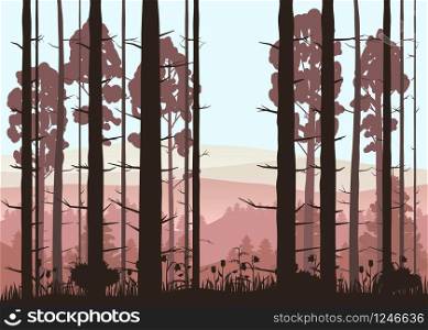 Sunny forest background. Vector illustration of woods in forest in sunlight background.. Sunny forest background. Vector illustration of woods in forest in sunlight background. Isolated