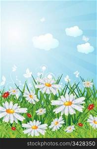 Sunny lanscape with flowers, eps10 vector illustration