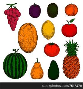 Sunny yellow canary melon and pineapple, pear and lemon, juicy orange, peach and grapes, apple and plum, green kiwi, avocado and watermelon fruits sketch symbols. Use as organic farming and healthy dessert design. Fresh and juicy fruits sketches