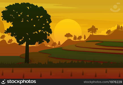 Sunrise Asian Paddy Rice Field Agriculture Nature View Illustration