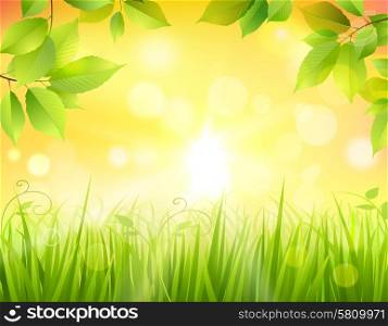 Sunrise in forest background with green tree leaves frame and sun beams in the middle vector illustration. Sunrise In Forest