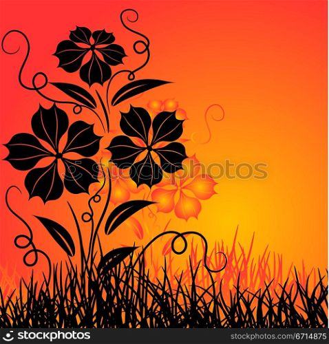 Sunset and flower, vector