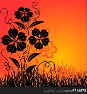 Sunset and flower, vector