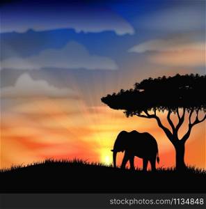 Sunset at africa