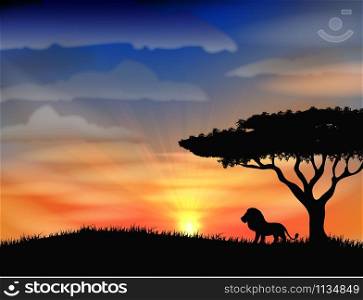 Sunset at africa with animal