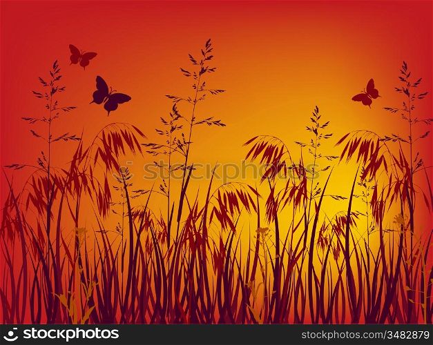 sunset background with grass and flowers