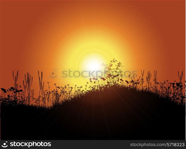 Sunset background with grass and flowers in silhouette