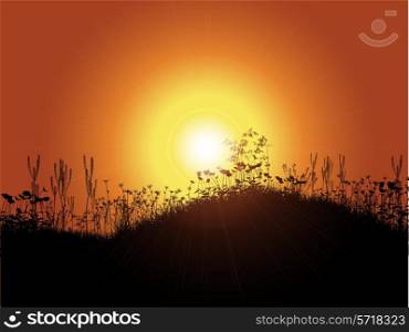 Sunset background with grass and flowers in silhouette