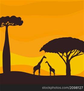 Sunset in the savannah. Silhouette of giraffes and trees. Vector illustration.. Sunset in the savannah. Vector illustration.