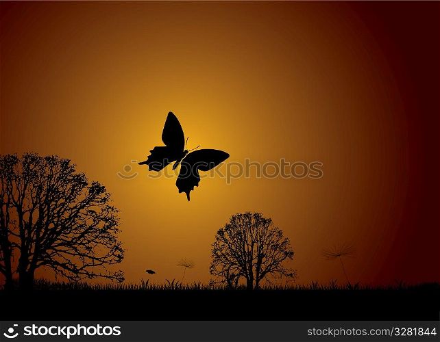 Sunset nature scene with butterfly and silhouette trees