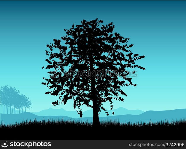 Sunset tree