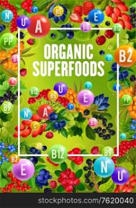 Superfood berries with natural organic vitamins and minerals. Vector healthy berry fruits, sea buckthorn or honeysuckle and cowberry or foxberry, viburnum and juniper berry. Berry fruits superfood, organic vitamins food