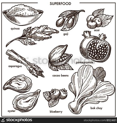 Superfood healthy diet food sketch icons. Vector goji and acai berry or quinoa seeds, bok choi vegetable lettuce salad, asparagus and oyster seafood or pomegranate fruit, blueberry and cacao beans. Superfood healthy diet food sketch icons berry, fruits and vegetables, bean seeds or seafood
