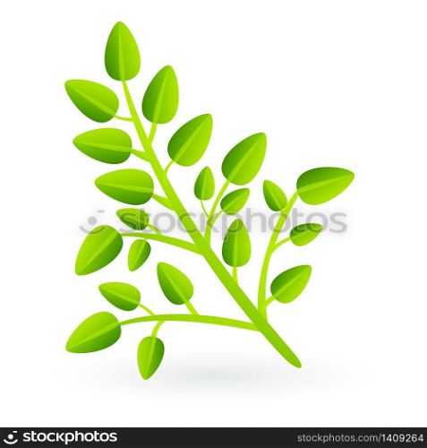 Superfood plant icon. Cartoon of superfood plant vector icon for web design isolated on white background. Superfood plant icon, cartoon style