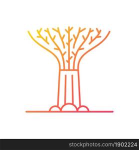 Supertree grove gradient linear vector icon. Tree-like structure. Recognizable Singaporean attraction. Giant tree. Thin line color symbol. Modern style pictogram. Vector isolated outline drawing. Supertree grove gradient linear vector icon