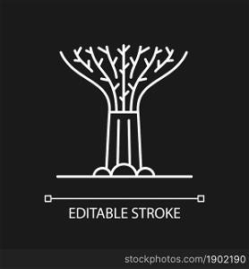 Supertree grove white linear icon for dark theme. Tree-like structure. Singaporean attraction. Thin line customizable illustration. Isolated vector contour symbol for night mode. Editable stroke. Supertree grove white linear icon for dark theme