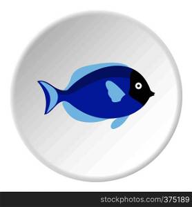 Surgeon fish icon. Flat illustration of surgeon fish vector icon for web. Surgeon fish icon, flat style