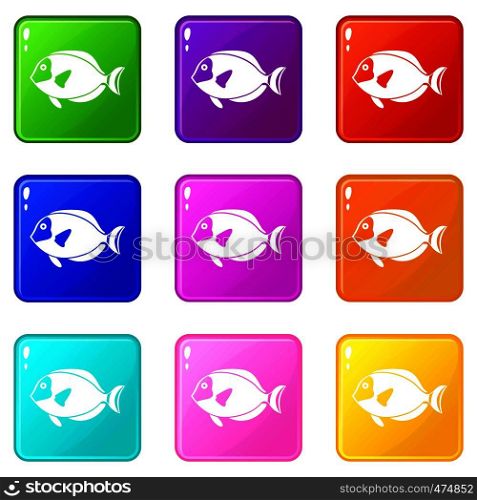 Surgeon fish icons of 9 color set isolated vector illustration. Surgeon fish icons 9 set