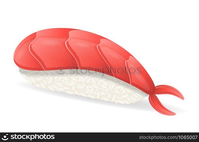 sushi with shrimp vector illustration isolated on white background