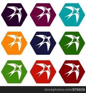 Swallow icons 9 set coloful isolated on white for web. Swallow icons set 9 vector