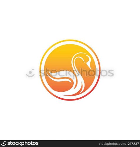 Swan logo Premium and symbol Vector