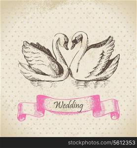 Swans. Wedding hand drawn illustration