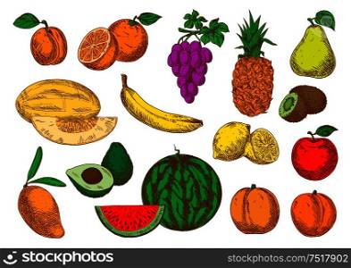 Sweet aroma mango, peaches and melon, banana, orange and apple, violet grapes, pineapple and lemon, pear, apricot and watermelon, avocado and kiwi fruits sketch symbols. Freshly harvested ripe fruits sketch icons