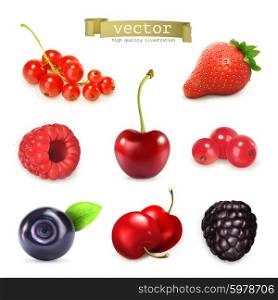 Sweet berries, vector illustration set of high quality