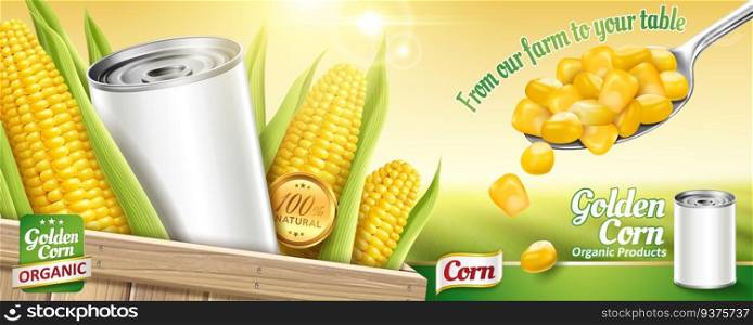 Sweet corn ads with blank tin can and kernels on bokeh green field background in 3d illustration. Sweet corn ads with blank tin can