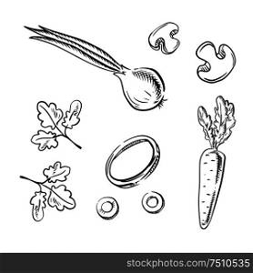 Sweet crunchy carrot, spicy onion with sprouted leaves vegetables, sliced mushrooms and parsley stems. Sketch icons for healthy vegetarian food themes design. Carrot, onion, mushroom and parsley vegetables