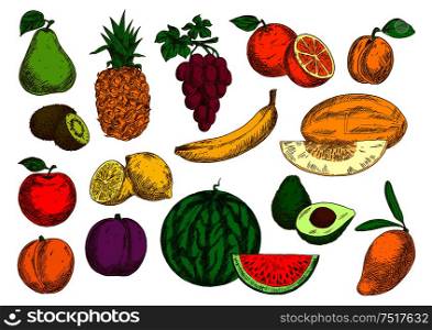 Sweet flavorful tropical mango and banana, pineapple and oranges, avocado, kiwis and lemons, selected garden apple, peach and grapes, pear, plum and apricot, ripe melon and watermelon fruits sketches. Flavorful and sweet fruits retro colored sketches
