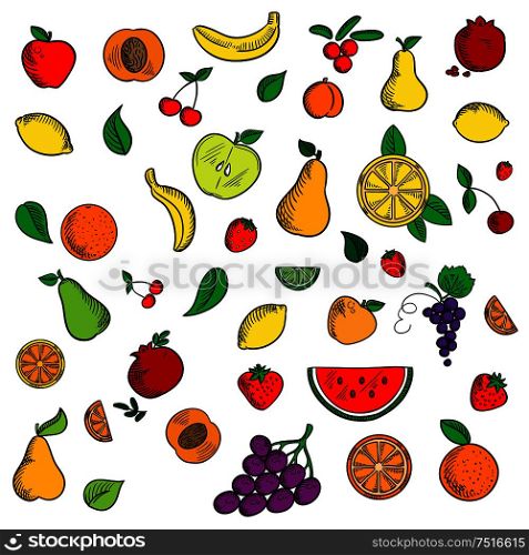 Sweet fruits and berries sketched icons with apple and banana, strawberry and pear, peach and orange, grape and lemon, pomegranate and cherry, cranberry and watermelon among mint leaves. Ripe fresh fruits and berries icons