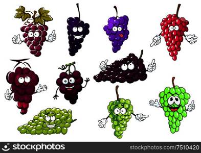 Sweet juicy bunches of purple, green and red grape fruits cartoon characters with grape vines and leaves. For agriculture design. Sweet purple, green and red grape fruits